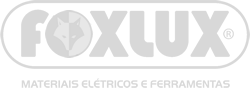 Emerson Fabris liderando treinamento de inovação assertiva na Fox Lux